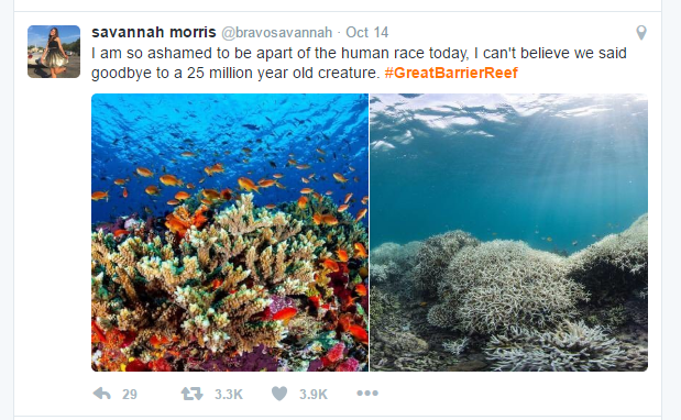 great-barrier-reef-death-twitter